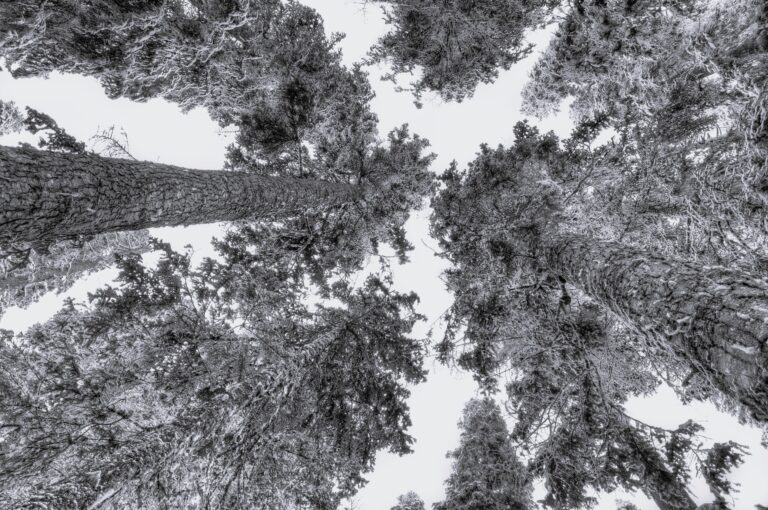 La importancia que tienen las metas basadas en ciencia para las empresas